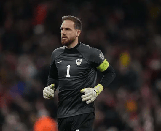 斯洛文尼亚在欧预赛中占据上风 斯洛文尼亚在欧预赛中占据上风