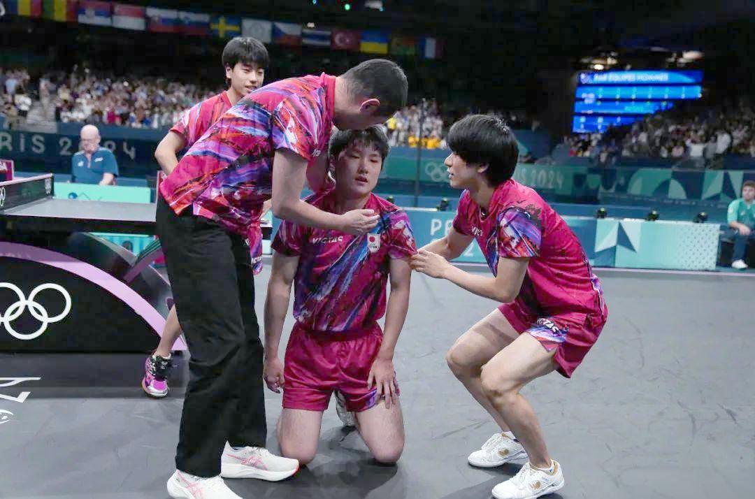 关于韩国队完胜法国队，张本智和扛起全队的信息