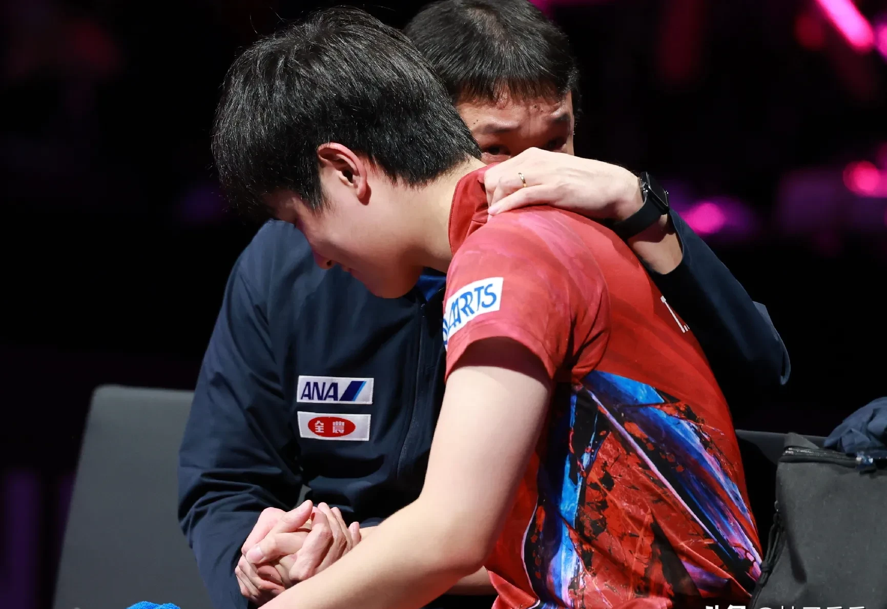 关于韩国队完胜法国队，张本智和扛起全队的信息